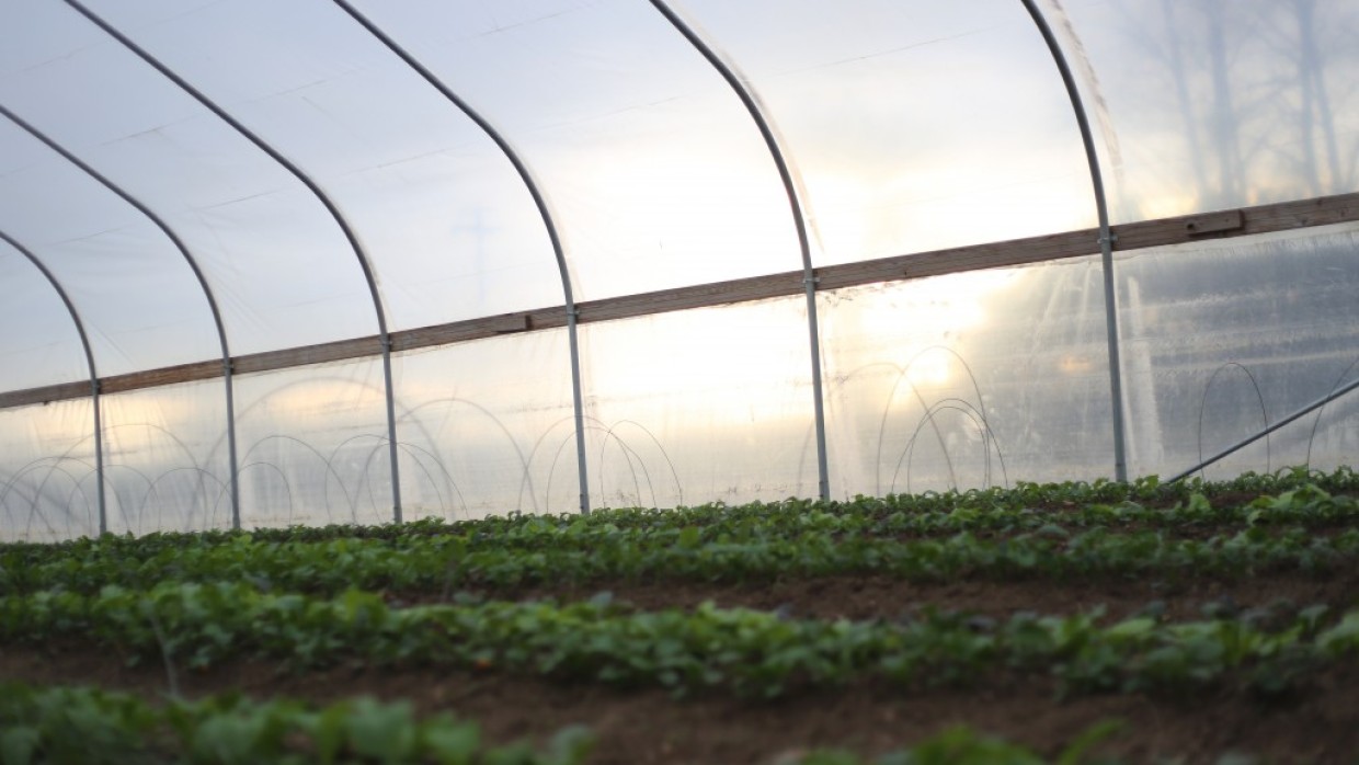 Winter Greenhouse